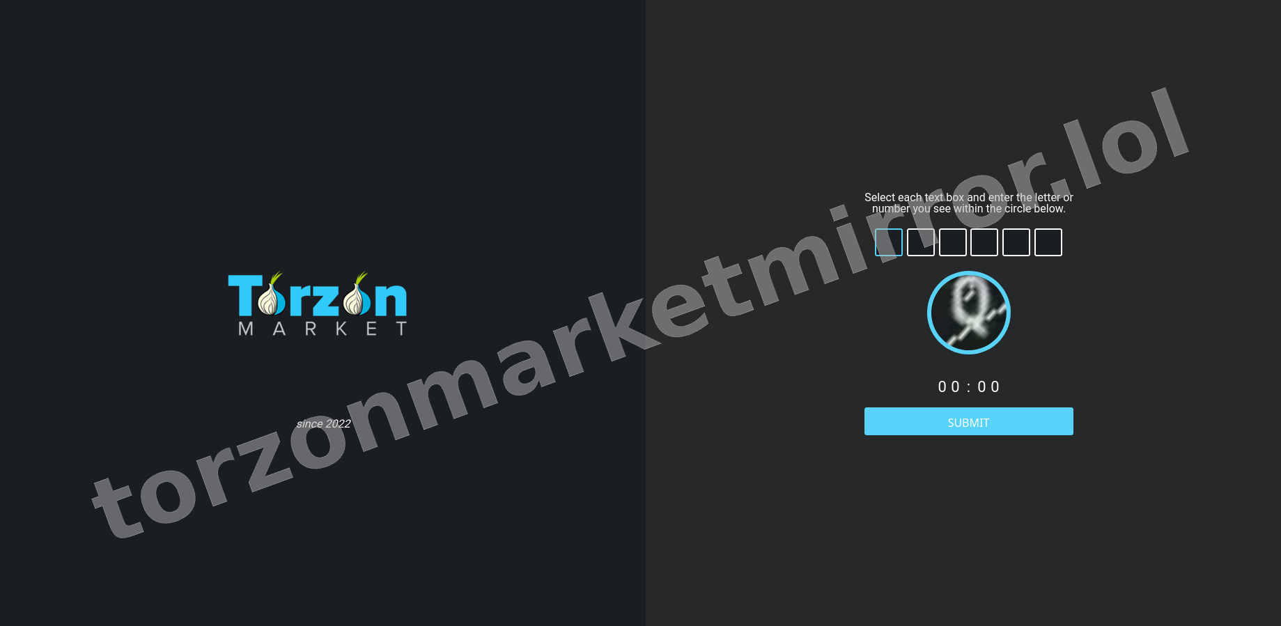 DDoS Protection Screen